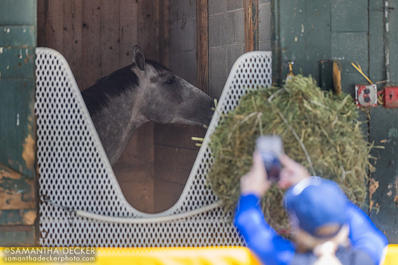 Exercise rider Brittany Troxtell shows Seize the Grey to jockey Jaime Torres via video chat 6.2.24