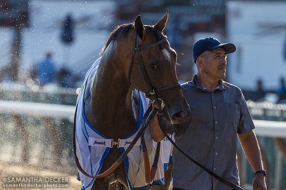 Chancer McPatrick heading to the test barn