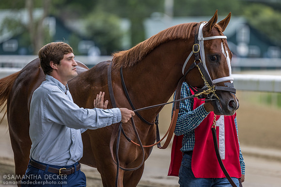 Eighty West, winner of r4