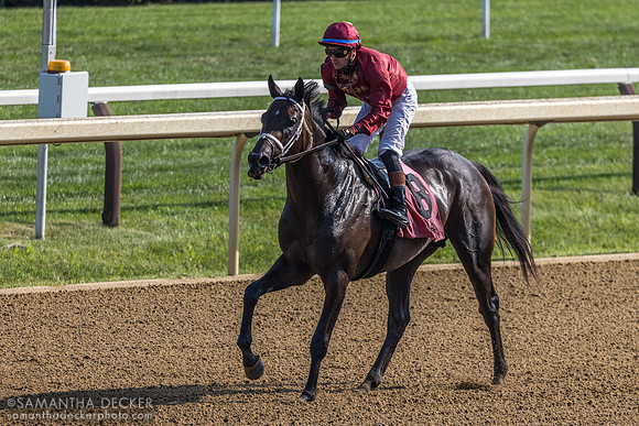 West Hollywood wins R9