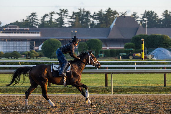 Danny Wright on Fierceness