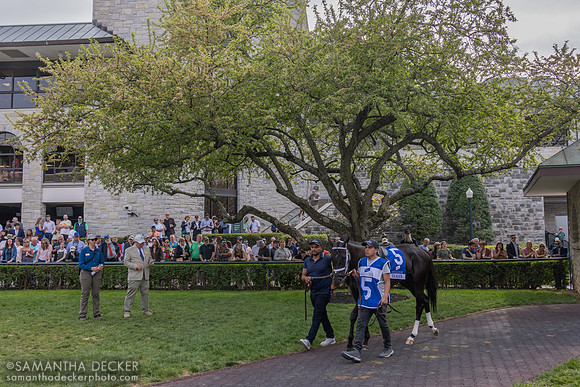 Tarifa, Keeneland, 2025
