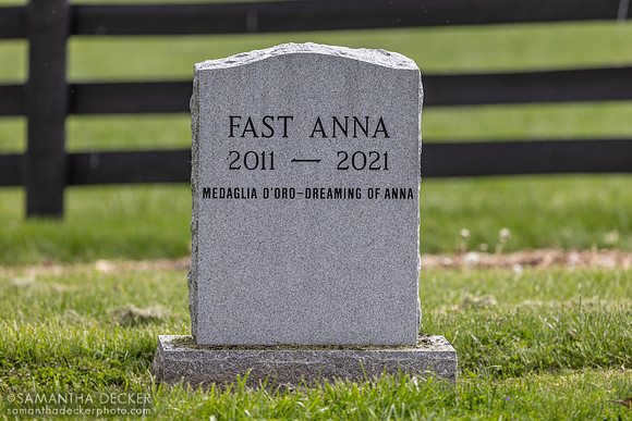 Fast Anna's grave, Three Chimneys Farm, Midway, KY