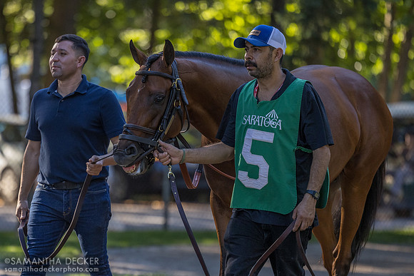 Running Bee, winner of the Bernard Baruch
