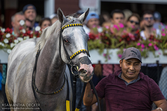 Surveillance wins the Troy S.