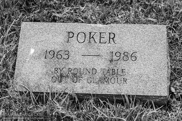 Poker's grave, Magdalena Farm, Lexington KY