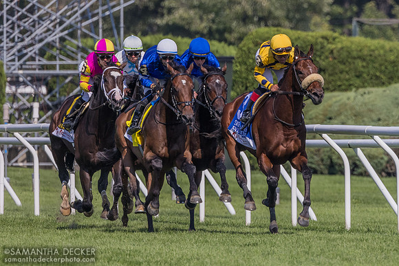 Down the stretch for the first time in the Sword Dancer