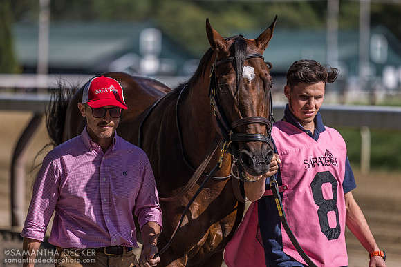 Big Invasion, winner of the Harvey Pack