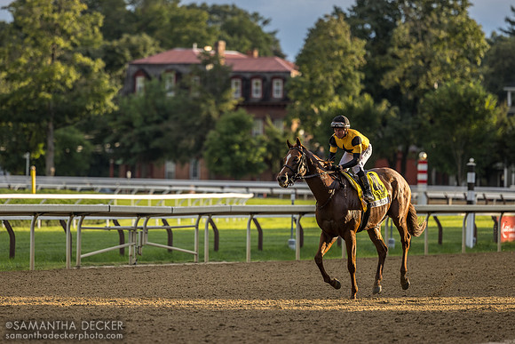 Carson's Run wins the Saratoga Derby