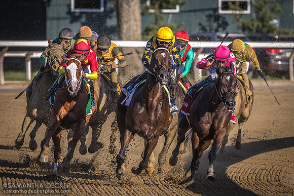 Olympiad wins the Grade I Jockey Club Gold Cup