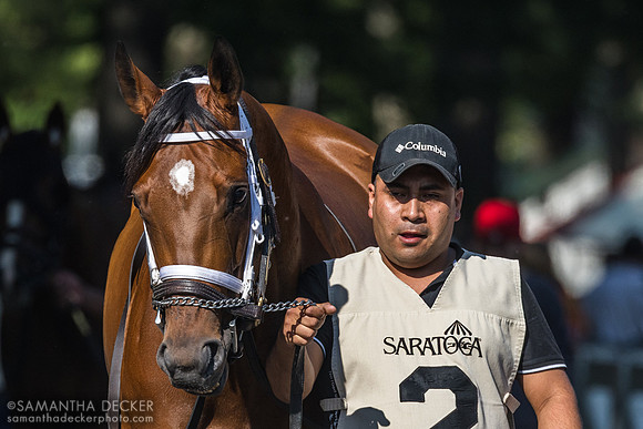 Spinning Colors wins the Mount Vernon