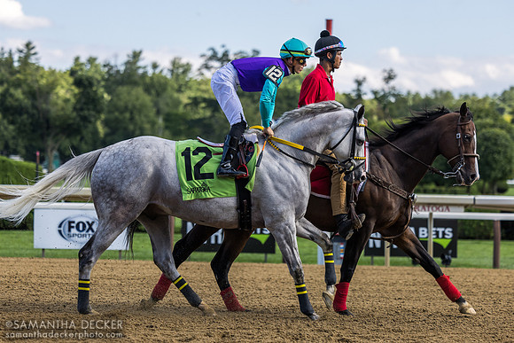 Surveillance, winner of the Troy S.