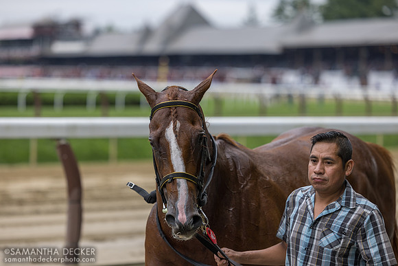 Legitimize, winner of R2