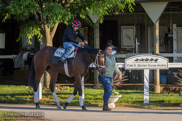 Pletcher barn 5.24.24