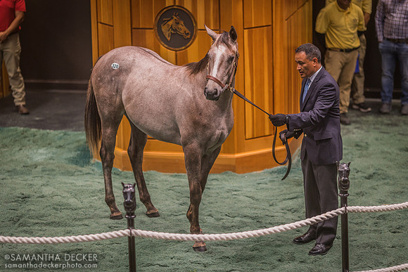 Fasig-Tipton