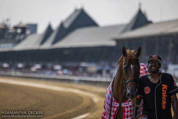 Nakatomi, winner of the Alfred G. Vanderbilt H.
