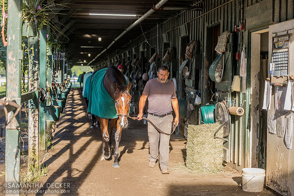 Mott trainees walking the shedrow