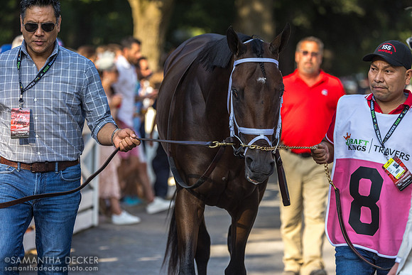Fierceness entering the paddock
