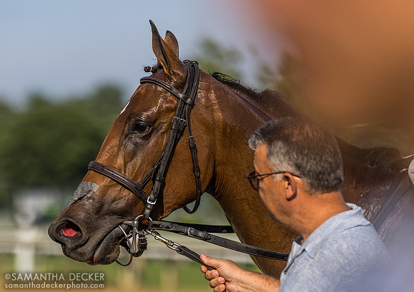 John Stewart leads Pounce into the winner's circle