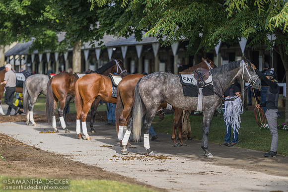 Pletcher barn 6.7.24