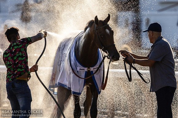 Chancer McPatrick getting a bath