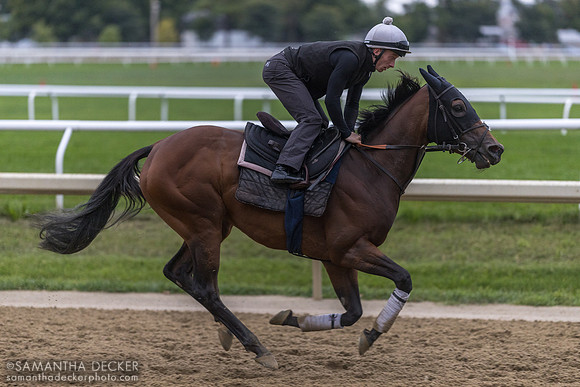 Verbier, jockey Eddy Greatrex onboard
