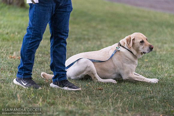 Kenny McPeek's dog Sonny