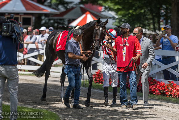 Unmatched Wisdom, winner of the Curlin S.