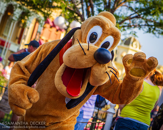 Pluto in Magic Kingdom
