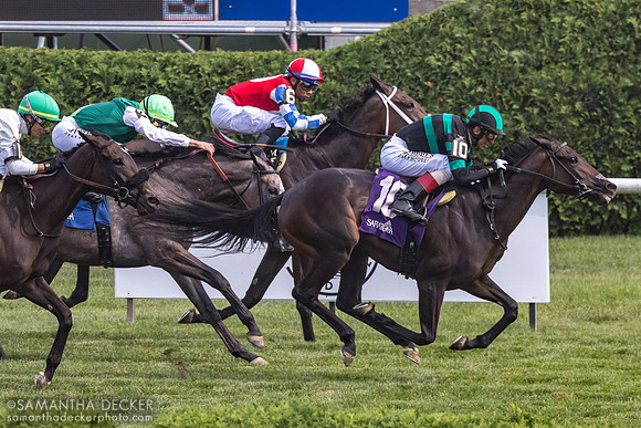 Reining Flowers wins R6