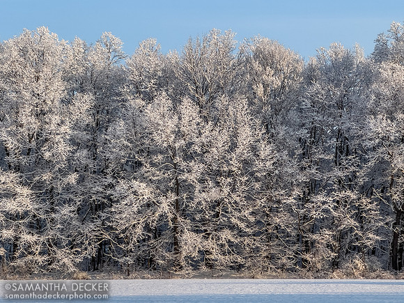 Snow in Saratoga