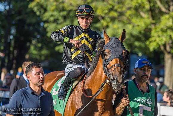 Running Bee, winner of the Bernard Baruch