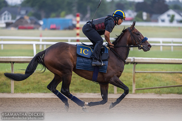 Didia - entered in the Diana Stakes