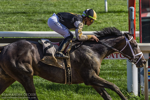 Showcase wins the Saratoga Special S.