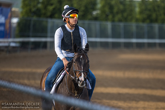 Dale Romans trainee, Churchill Downs, 2025