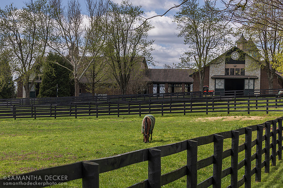 Audible, WinStar Farm, Versailles, KY