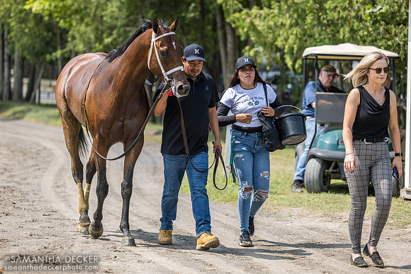 Speak Easy, winner of R4