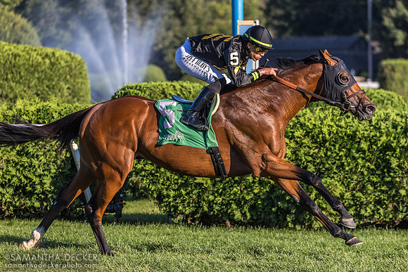 Running Bee wins the Bernard Baruch