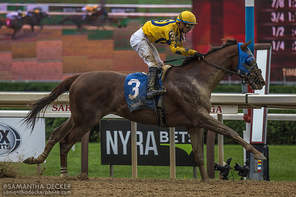 Bank Frenzy wins the Evan Shipman H.