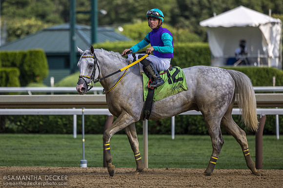 Surveillance wins the Troy S.