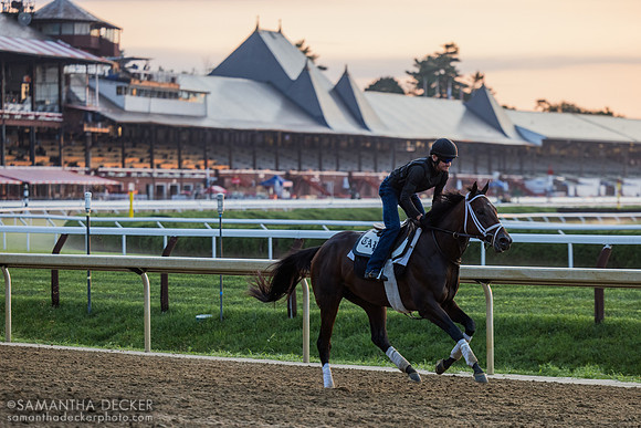 Danny Wright rides Fierceness