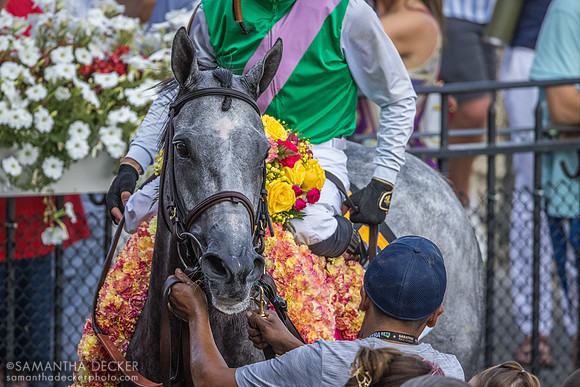 Whitebeam wins the Diana