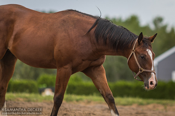 Mill Creek Farm