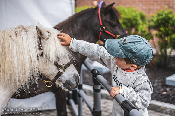 Poppy Gets a Pet Outside the National Museum of Racing and Hall of Fame, Saratoga Springs, NY, 2022