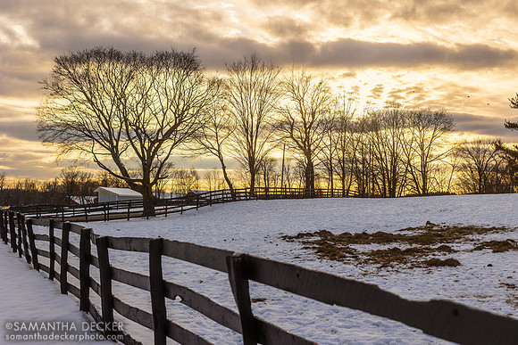 Irish Hill Century Farm, Stillwater, NY, 2023