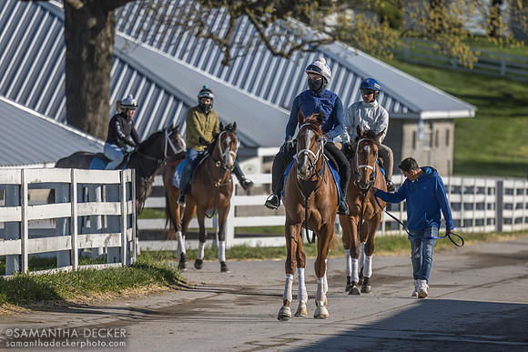 Brad Cox trainees, Keeneland, Lexington, KY, 2025