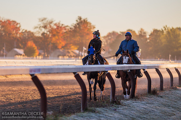 Brisk Air and Autumn Leaves at the Oklahoma Track, 2014