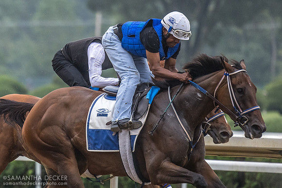 Danny Ramsey on Thorpedo Anna, breezing in company with Elko County