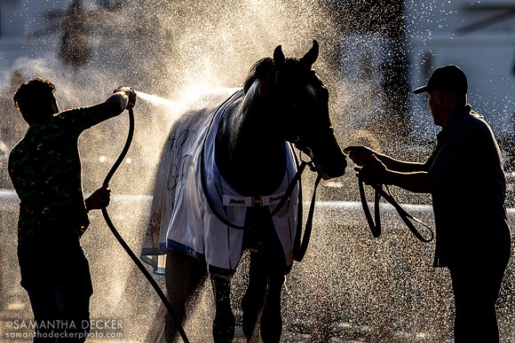 Chancer McPatrick gets a bath after winning the Hopeful, 2024