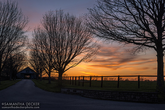 Sunset at Denali Stud, Paris, KY